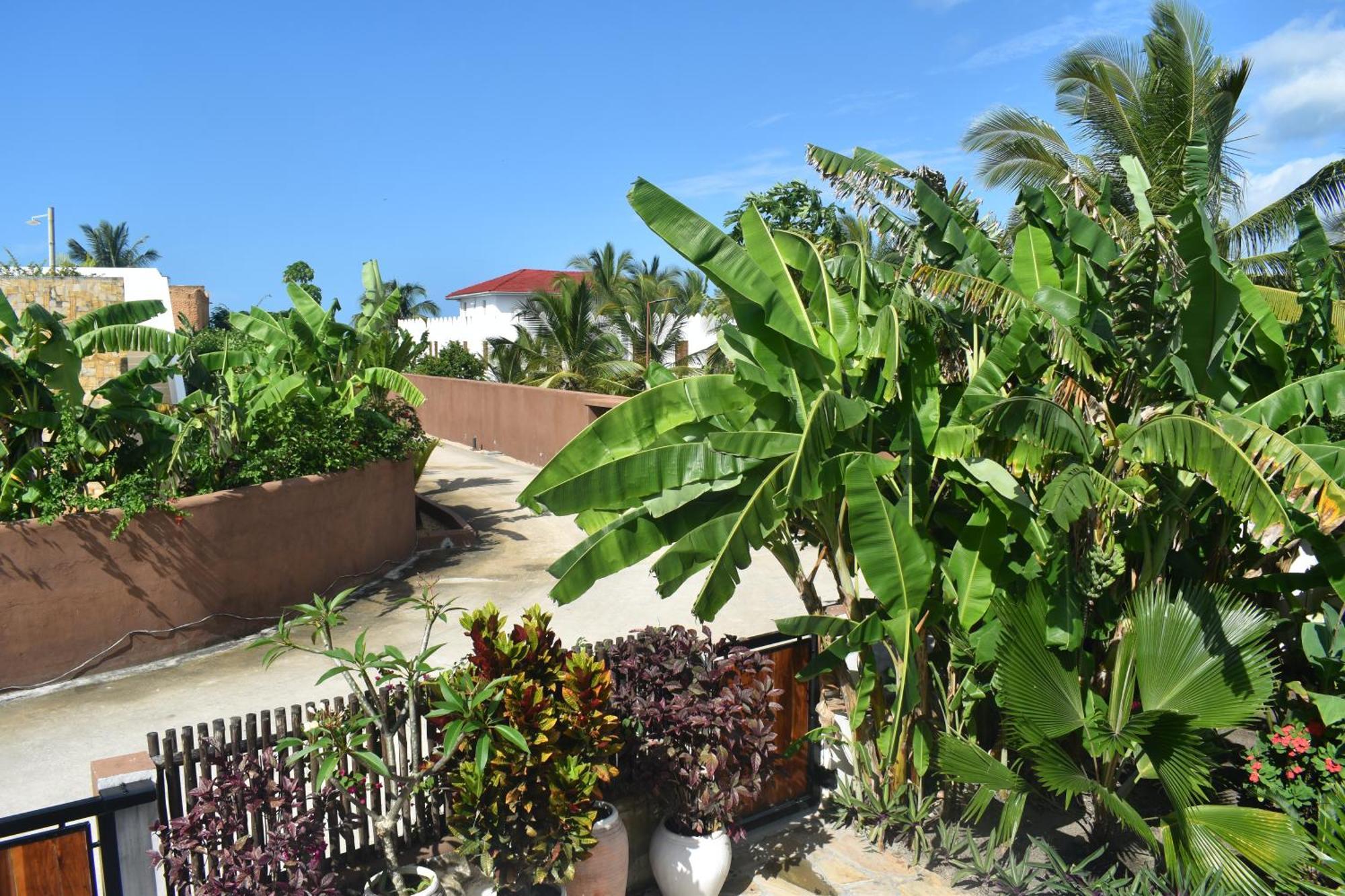 Bahari * Kiwengwa (Zanzibar)